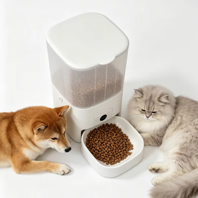 6L Automatic Cat Feeder With C - Kitchen Appliances Video ulasan dan harga